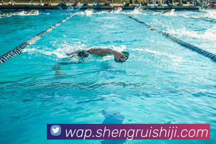 开云体育服务体系